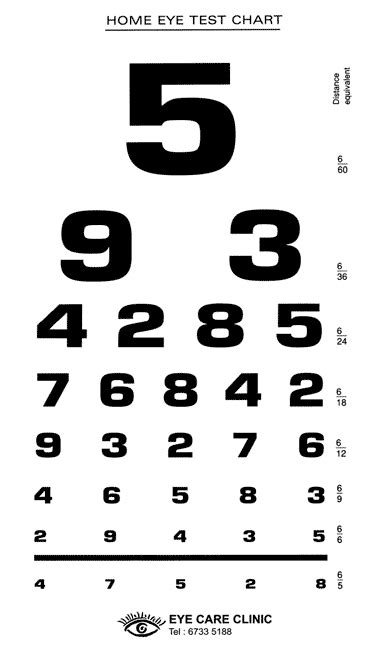 Dvla Snellen 6 Metre Test Chart Laminated Version Single Snellen