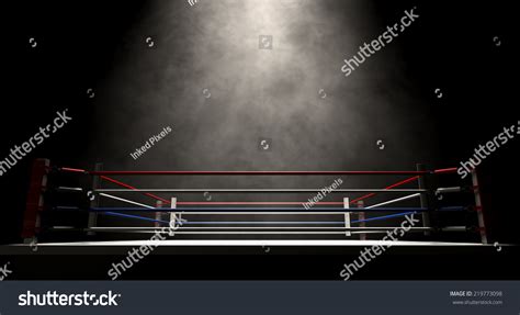 Regular Boxing Ring Surrounded By Ropes Stock Illustration 219773098