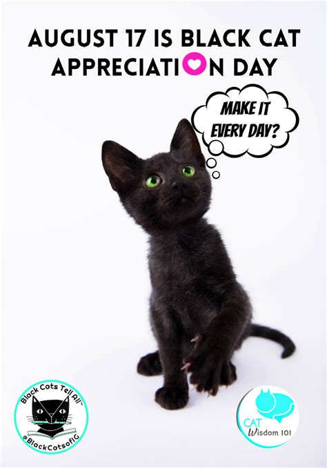 Black Cat Appreciation Day News Cat Wisdom 101