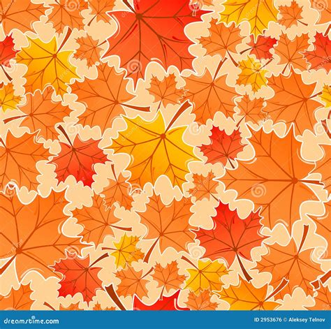 Autumn Leaves Seamless Pattern Stock Vector Illustration Of Curl