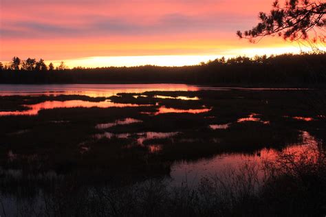 Quabbin Reservoir Wetland Sunset Photograph By John Burk Fine Art America