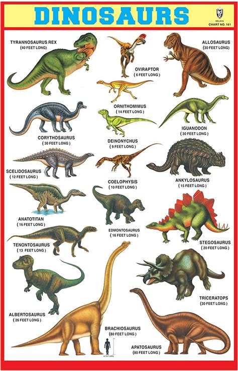 Poster Dinosaur Name Chart Dinosaur Pictures Dinosaur Types Dinosaur