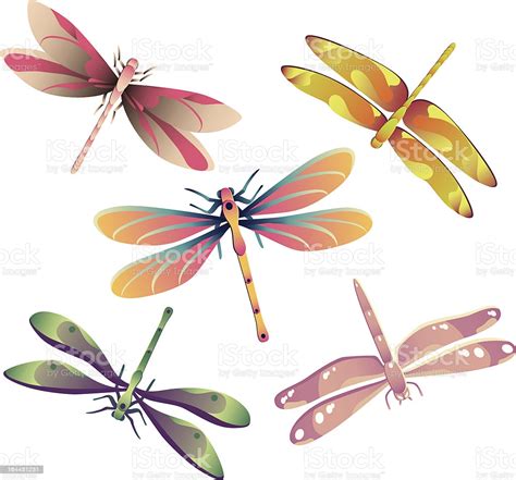 Dragonflies Stock Vector Art And More Images Of Animal Istock