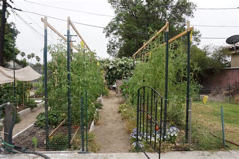 Andie's Way: Arched Tomato Trellis