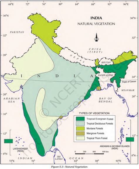 Natural Vegetation Of India Geography Notes For All Defence Exams