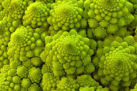 Fractal Food