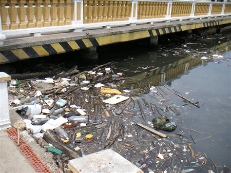 Water tariffs remain extremely low and overall annual budgets for the environment remain below one per cent of the overall budget. Environmental issues in Colombia - Wikipedia