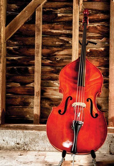 Bass Fiddle Standing In A Barn Folk Instruments Music Love Violin