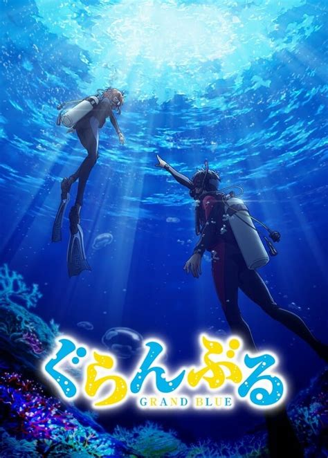 Grand Blue Dreaming Anime Gets First Trailer Visual And Staffers