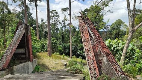 Cerita ini disampaikan kepada saya oleh salah seorang kakitangan kanan royal mint malaysia suatu masa. Taman Botani Negara Shah Alam - 2020 All You Need to Know ...