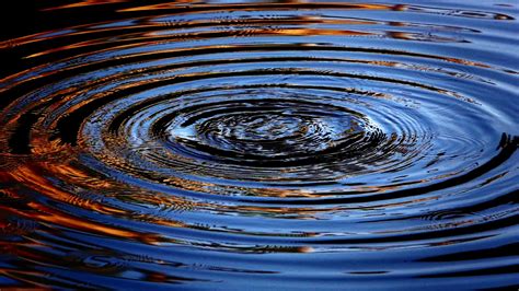 Water Drop Ripple Stock Video Footage For Free Download