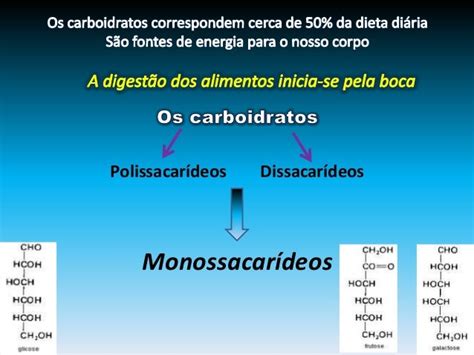 Digestão E Absorção De Carboidratos