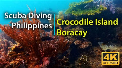 Diving Crocodile Island Boracay Philippines In 4k Youtube