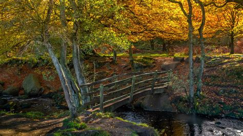 Bridge In Forest And River During Fall Hd Nature Wallpapers Hd