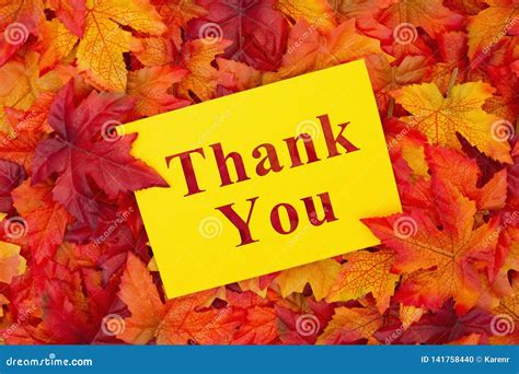 Thank You Message With Fall Leaves Stock Photo Image Of Card