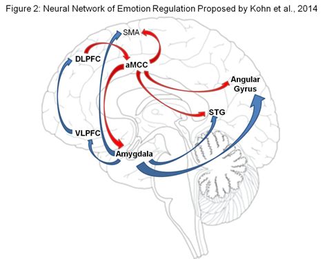 Dont Go Wasting Your Emotion The Process Model Of Emotion Regulation Emotion Brain