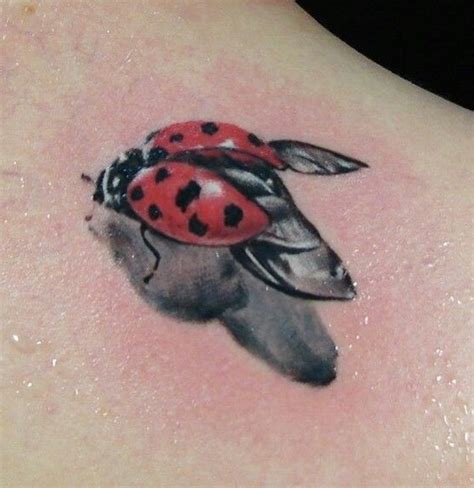 Butterfly and ladybug tattoos @advizors. Watercolor Ladybug Tattoo Designs, Ideas and Meaning ...