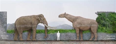 Largest Land Mammal Ever By Sameerprehistorica On Deviantart