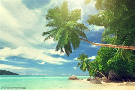 Download Wallpaper Coast Beach Paradise Summer Free Desktop