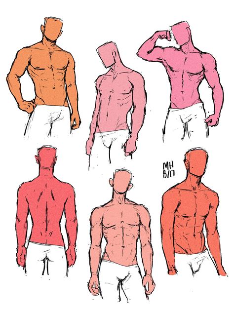 Male Anatomy Drawing Ref Anatomy References Anatomy Reference Images