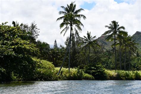 Wailua River On Kauai Island In Hawaii Stock Image Image Of Mountain