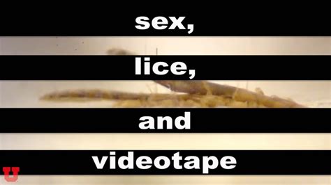 lice sex and videotape youtube