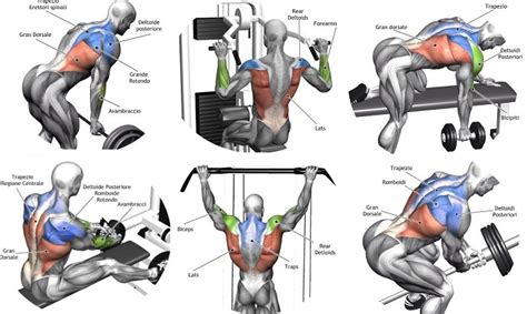 building back muscles 3 mass building back exercises