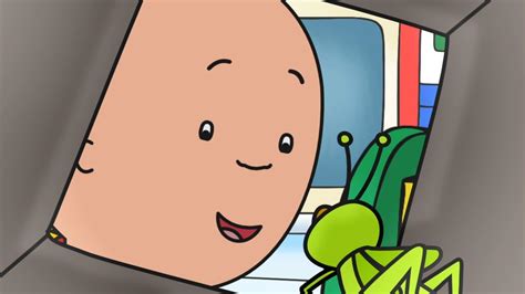 Caillous New Pet Caillou Compilations Youtube