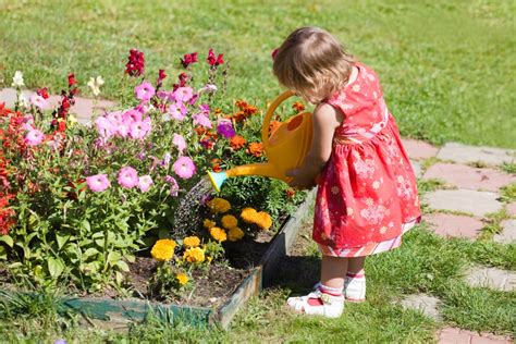 5 Easy Flowers For Kids To Grow Mygardenlife