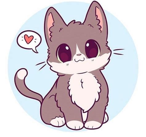 Котики любят хазяинов😊 Hoạt Họa Anime Nhật Ký Nghệ Thuật
