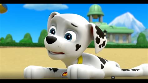 Paw Patrol S01e24 Best Funny Moment Compilations Youtube