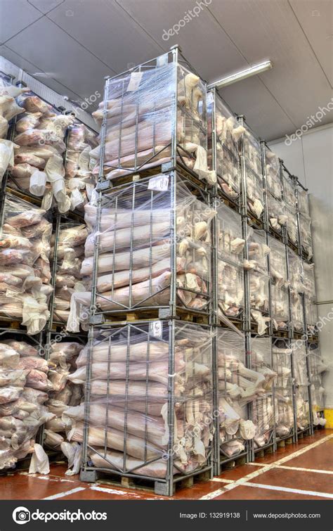 Technological innovation and the need to replace or upgrade products drive demand for it. Medium Temperature Cold Storage Room for Meat. - Stock ...