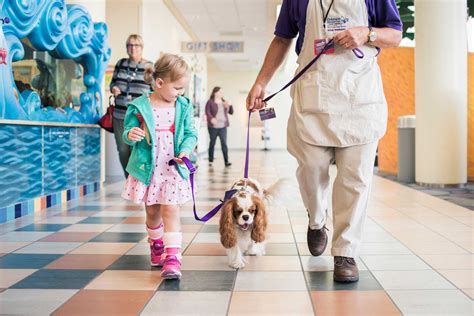 Childrens Hospital Los Angeles Named Top Pediatric Hospital In