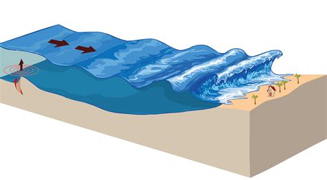 Tsunamis Tsunamis Are Large Ocean Waves Usually Caused By An