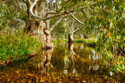 south australia, Melrose, Stream, Landscape Wallpapers HD / Desktop and Mobile Backgrounds