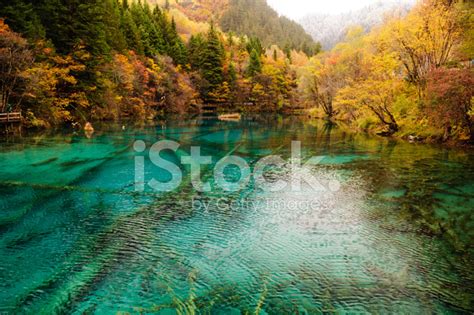 Stock Photo De Blue Lake De Jiuzhaigou Sichuan Chine Libre De