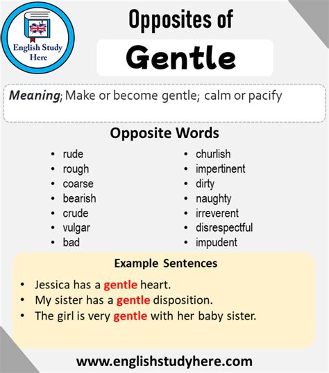 Opposite Of Gentle Antonym Of Gentle 23 Opposite Words For Gentle