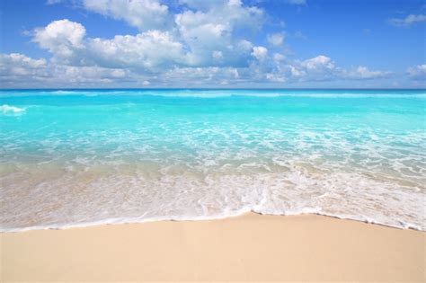Caribbean Turquoise Beach Perfect Sea Sunny Day Premium Photo