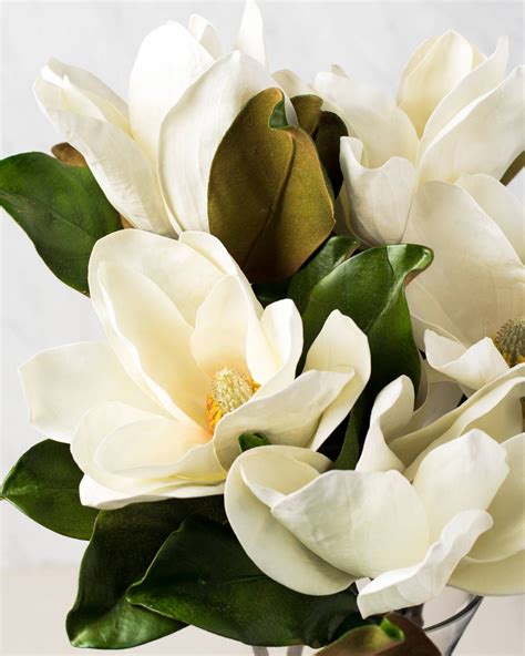 Afloral offers premium artificial plants, silk flowers, dried flowers and vases. Magnolia Flower Stems | Balsam Hill | Magnolia flower ...
