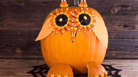 3 Impossibly Adorable No Carve Pumpkins You Need To Make Rachael Ray Show