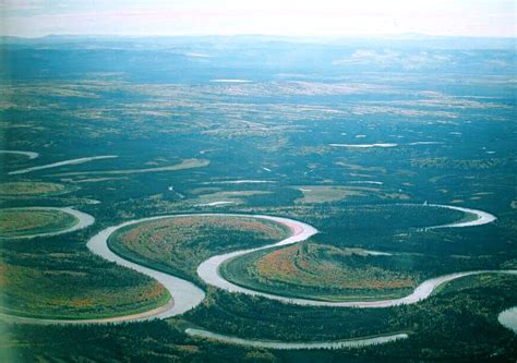 However, the main defining feature of an ox is their can you get an uncastrated ox? Oxbow lake - Wikipedia