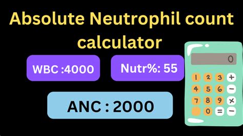 Absolute Neutrophil Count Calculator Online Anc Calculator
