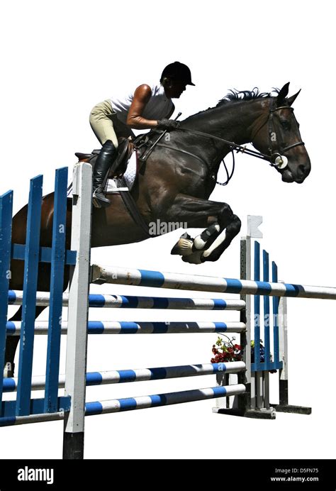 Rider And Horse Jumping A Fence In Competition Stock Photo Alamy