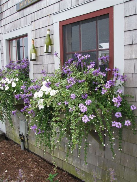 I Love Flower Boxes Window Planters Window Planter Boxes Cottage