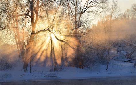 Winter Morning Sunrise Sun Rays Fog Trees Snow Wallpaper Nature