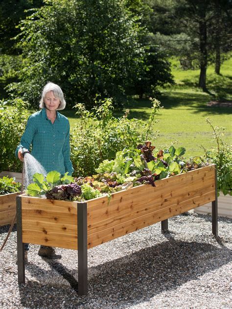 Self Watering Elevated Cedar Planter Box Eco Stain 2x8