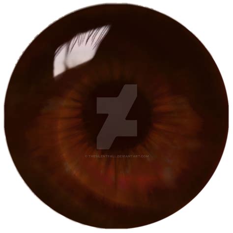 Brown Swirl Eye Finished By Thesilentfall On Deviantart