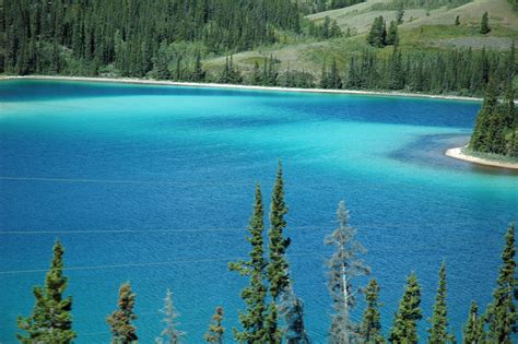 Emerald Lake Yt 2005 Photo By Don Hillis Landscape Pictures Yukon