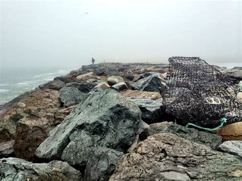 Maybe you would like to learn more about one of these? Photos for Del Mar Beach Resort at Camp Pendleton - Yelp
