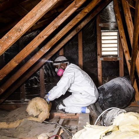 Attic Cleaning Service Local Attic Cleaning And Insulation Removal
